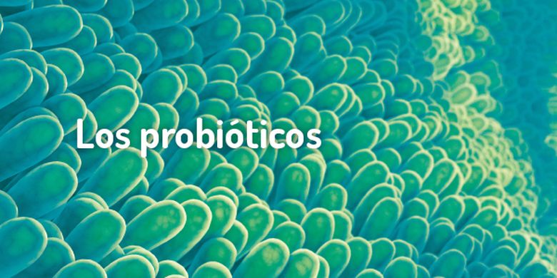 probioticos