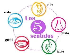 Sanar la mente con los 5 sentidos