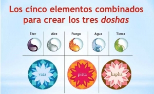 Los 5 elementos y los Doshas